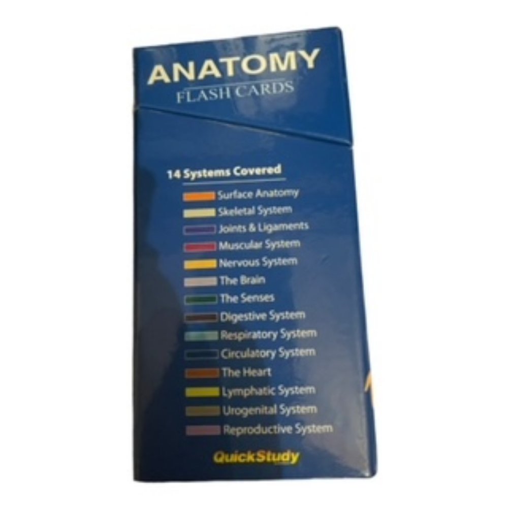 Anatomy (Quickstudy (Flash Cards)) - Cards By BarCharts, Inc. - Picture 3 of 8